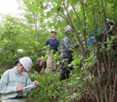 森林を再生する手法を検証するためのモニタリング調査