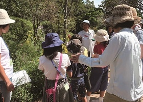 牧野植物園の見学