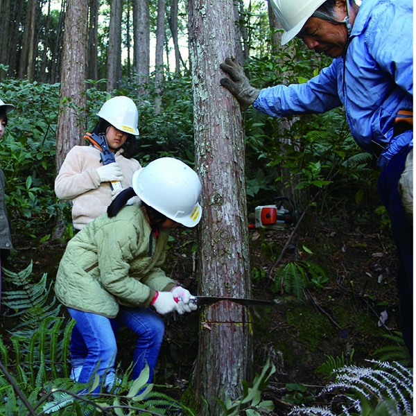 森林（ヤマ）の仕事体験