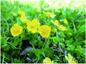 響の森散歩・公園散歩