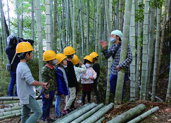 荒れた竹林をきれいにしよう！