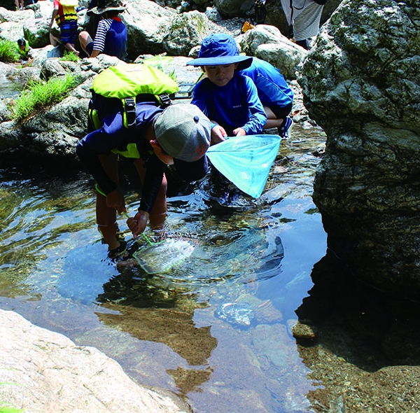 川の環境と生き物の世界を見る