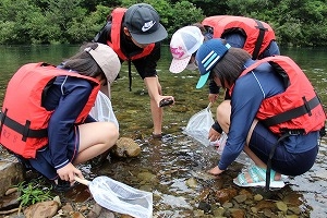 川の生き物調査
