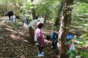 自然散策・樹木観察