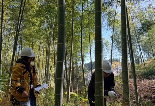 森のようちえん 森のようちえん