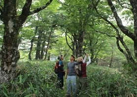 森のようちえん