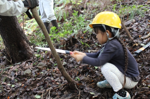 森のようちえん