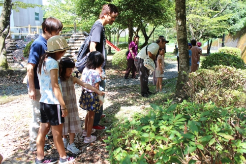 森のようちえん