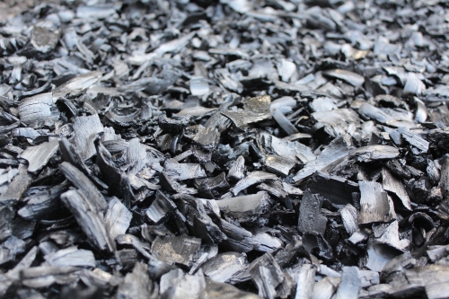 森のようちえん