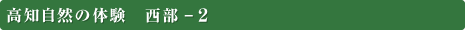 高知自然の体験　西部-2 