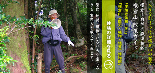 横倉山自然の森博物館 横倉山 散策ガイド