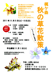 梶ヶ森 秋の草花散策