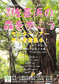 室戸佐喜浜の森を歩こう